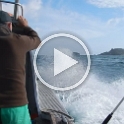 NZL NTL BayOfIslands 2018APR16 SpotXFishing  This video shows just how great a day weather wise it was - all be it wth bit of chop on the water.